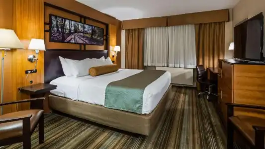 Best Western Queens Gold Coast - 39