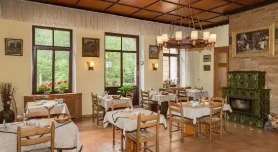 Pension Waldhäusl - 17