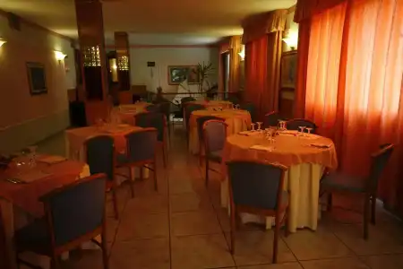Leucosya - 20