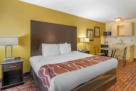 Rodeway Inn Clearwater - Central - 41
