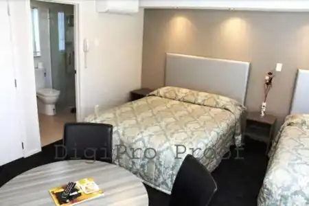 Auckland Phoenix Palm - 36