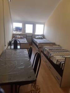 Атлант Экзотик - 102