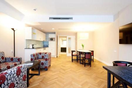Singerstrasse 21-25 Apart350m next to St Stephen´s Square - 168
