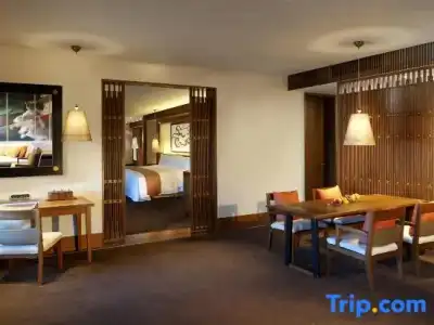 The St. Regis Lhasa Resort - 138