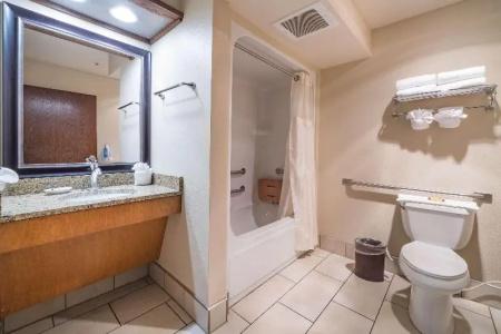 Best Western Plus GranTree Inn - 67
