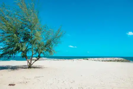 Fortune Saeng Chan Beach Rayong - 30