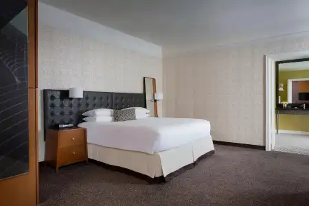 Chicago Downtown, Autograph Collection by Marriott - 70