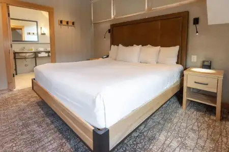 Moose And Suites - 99