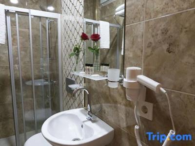 MAXWELL Boutique-hotel - 101