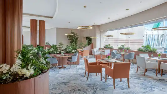 Hilton Alexandria Green Plaza - 22