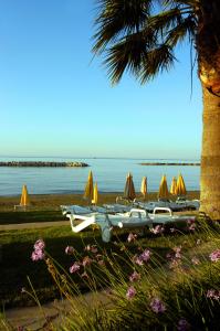 Palm Beach & Bungalows - 16