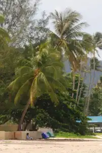 Laura's Guest House - adult only - - 26