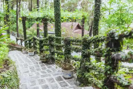 Sankofa Village Hill Resort and Spa - 105