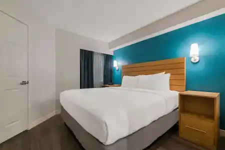 Sonesta ES Suites Orlando - International Drive - 72