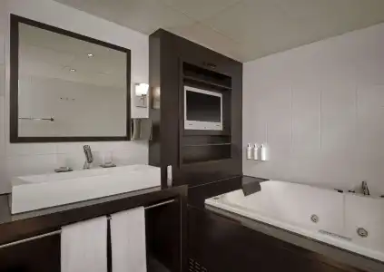 Park Plaza Eindhoven - 62