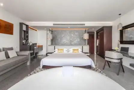 Vellita - 172