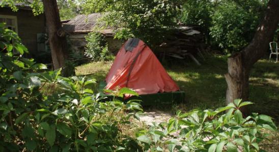 Nina B&B - 10