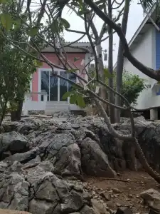 Charlie's Bungalow - 36