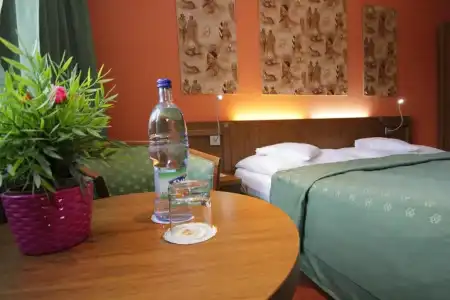 Max Inn - 43