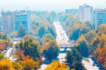 Ayni - 18