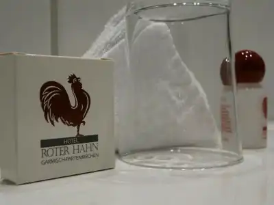Roter Hahn - Bed & Breakfast - 28