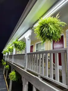 Homestead Motel - 48