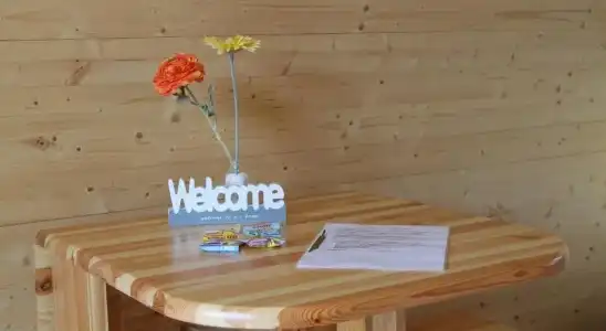 Azur Waldcamping Auwaldsee - 9