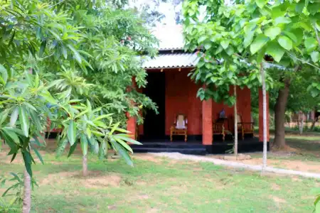 Hasara Eco Villa - 11