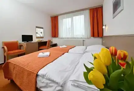 LH ParkHluboka Nad Vltavou Congress & Wellness - 22