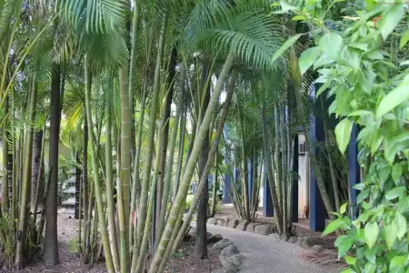 Bohemia Resort Cairns - 27