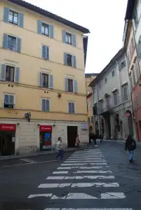 Il Senesino - 0