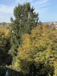 Mirage City Stuttgart - 33