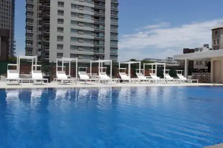 Alvear Icon - 19