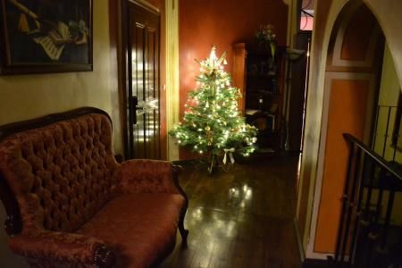 Residence U Cerneho Orla - 1