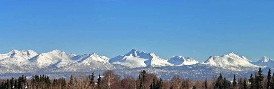 Alex and Suites - 45