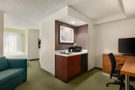 Springhill Suites By Marriott Boca Raton - 48