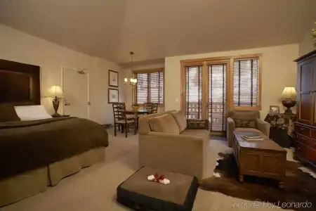 The Telluride - 45