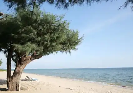 Purimas Beach & Spa - 16