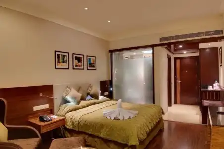 The Golden Palms & Spa Delhi - 3