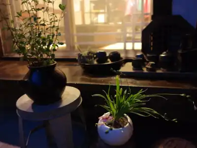Bukchon Guest House - 4