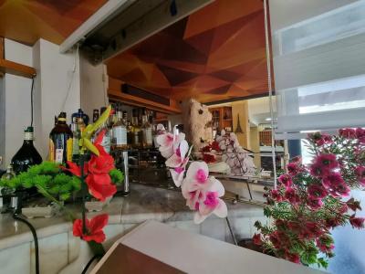 Perlo City - 24