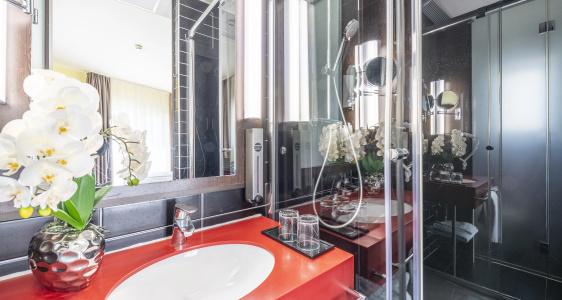 Plaza Premium Salzburg - 100