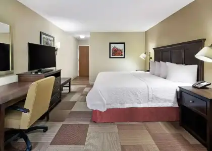 Hampton Inn Dallas-Irving-Las Colinas - 49