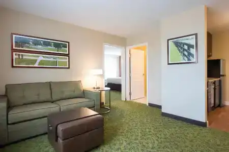 TownePlace Suites by Marriott Lexington South/Hamburg Place - 41