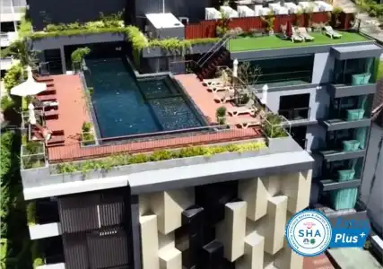 Rak Elegant Patong - 69