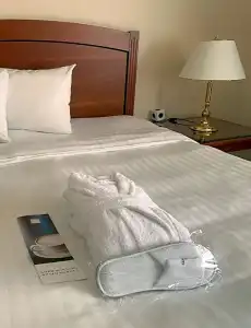Leipzig Marriott - 101
