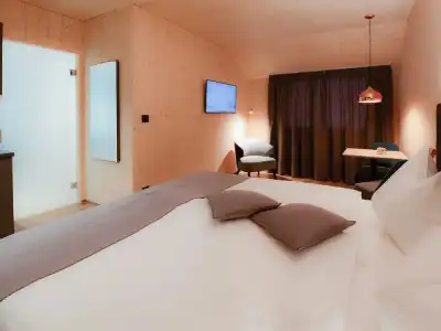 Cubilaris Motel Bad Ragaz - 44