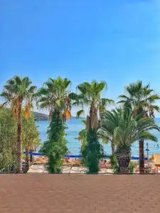 Bitez Deniz - 12