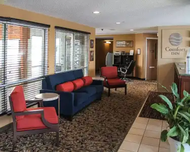 Comfort Inn at the Zoo - 0