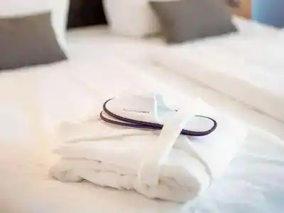 Mercure Mainz City Center - 132
